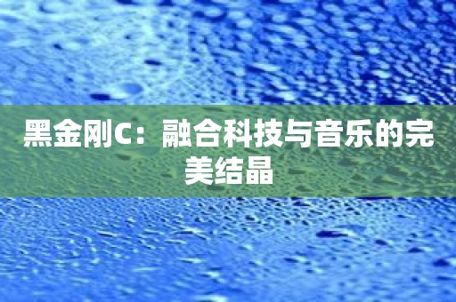 黑金刚C：融合科技与音乐的完美结晶