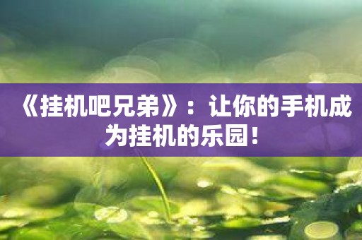 《挂机吧兄弟》：让你的手机成为挂机的乐园！