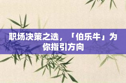 职场决策之选，「伯乐牛」为你指引方向