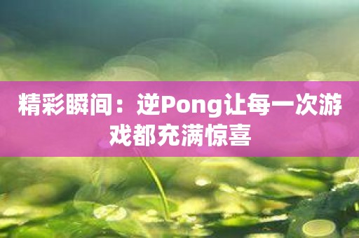 精彩瞬间：逆Pong让每一次游戏都充满惊喜