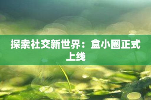 探索社交新世界：盒小圈正式上线