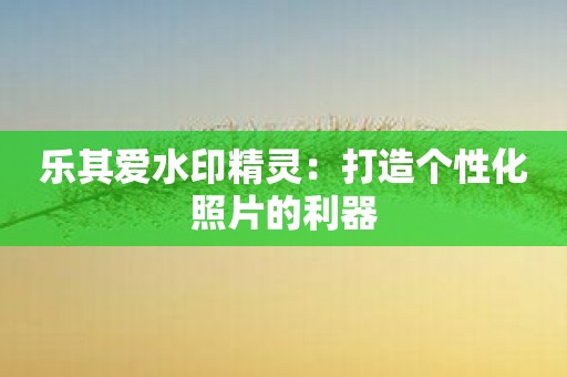 乐其爱水印精灵：打造个性化照片的利器