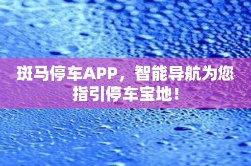 斑马停车APP，智能导航为您指引停车宝地！