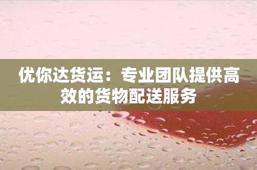 优你达货运：专业团队提供高效的货物配送服务