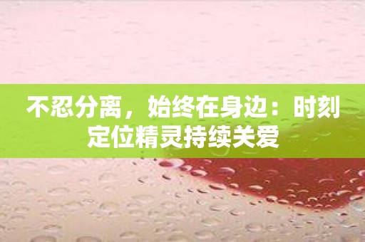 不忍分离，始终在身边：时刻定位精灵持续关爱