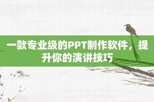 一款专业级的PPT制作软件，提升你的演讲技巧