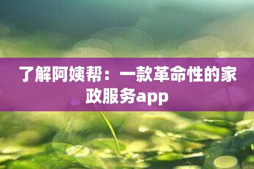 了解阿姨帮：一款革命性的家政服务app