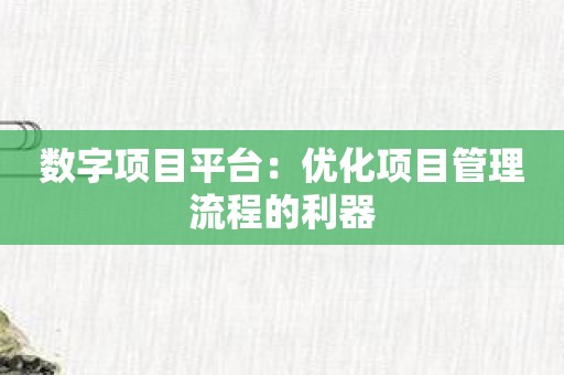 数字项目平台：优化项目管理流程的利器