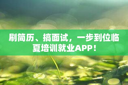 刷简历、搞面试，一步到位临夏培训就业APP！