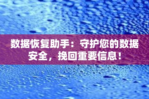 数据恢复助手：守护您的数据安全，挽回重要信息！