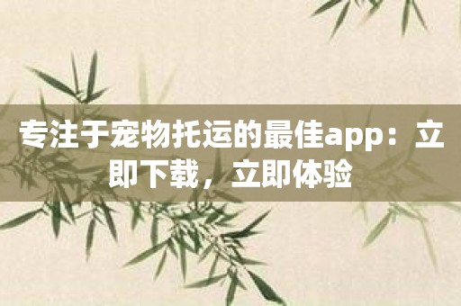 专注于宠物托运的最佳app：立即下载，立即体验