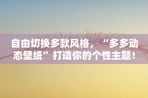 自由切换多款风格，“多多动态壁纸”打造你的个性主题！