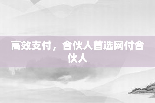 高效支付，合伙人首选网付合伙人