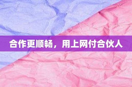 合作更顺畅，用上网付合伙人