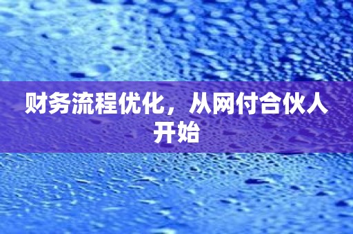 财务流程优化，从网付合伙人开始