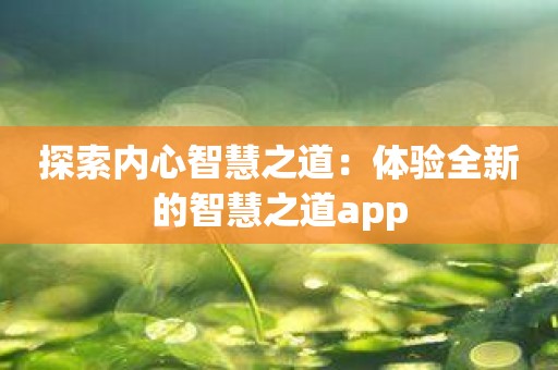 探索内心智慧之道：体验全新的智慧之道app