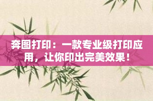 奔图打印：一款专业级打印应用，让你印出完美效果！