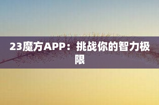 23魔方APP：挑战你的智力极限