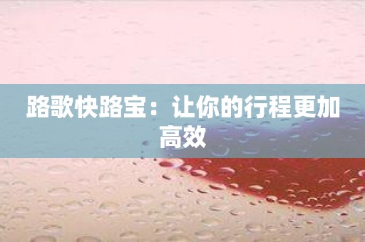 路歌快路宝：让你的行程更加高效