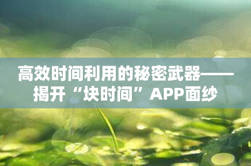 高效时间利用的秘密武器——揭开“块时间”APP面纱