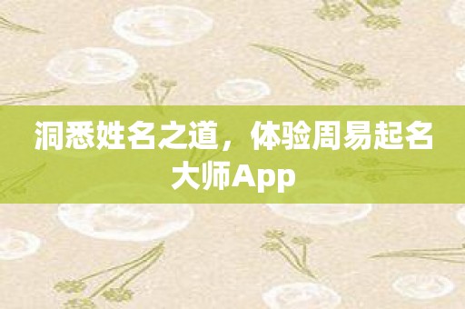 洞悉姓名之道，体验周易起名大师App