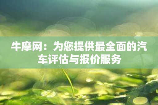 牛摩网：为您提供最全面的汽车评估与报价服务