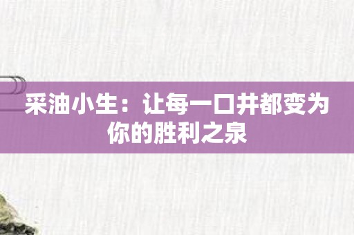 采油小生：让每一口井都变为你的胜利之泉