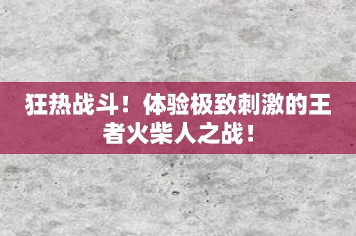 狂热战斗！体验极致刺激的王者火柴人之战！