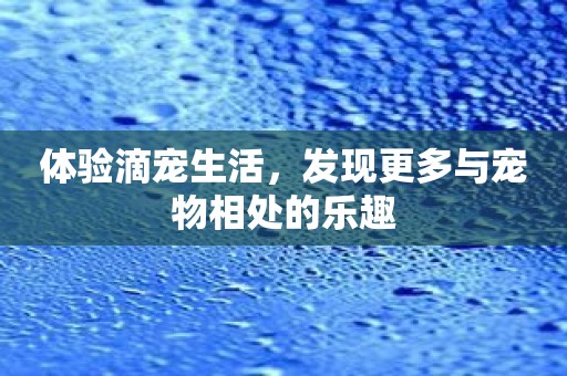 体验滴宠生活，发现更多与宠物相处的乐趣