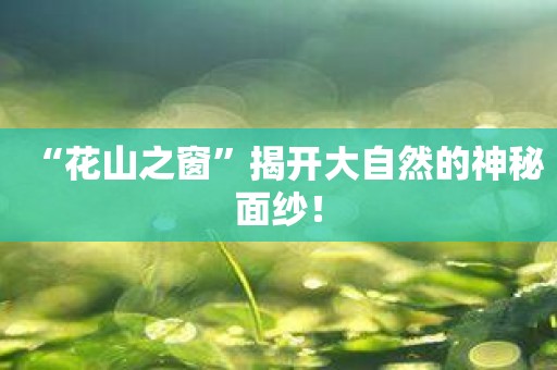 “花山之窗”揭开大自然的神秘面纱！