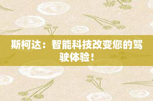 斯柯达：智能科技改变您的驾驶体验！