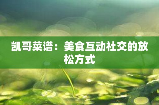 凯哥菜谱：美食互动社交的放松方式