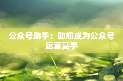 公众号助手：助您成为公众号运营高手