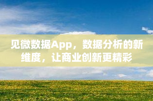 见微数据App，数据分析的新维度，让商业创新更精彩