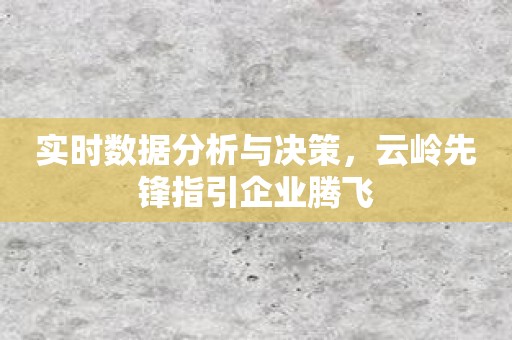 实时数据分析与决策，云岭先锋指引企业腾飞