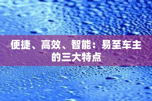 便捷、高效、智能：易至车主的三大特点