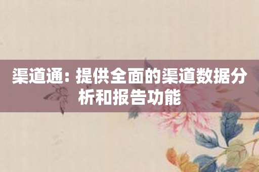 渠道通: 提供全面的渠道数据分析和报告功能