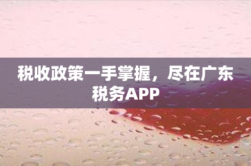 税收政策一手掌握，尽在广东税务APP