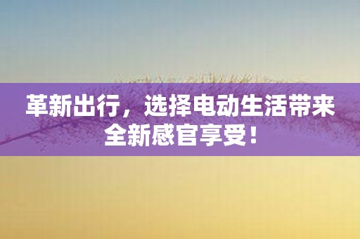 革新出行，选择电动生活带来全新感官享受！