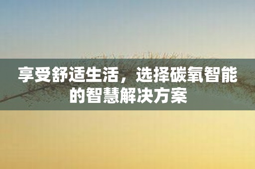 享受舒适生活，选择碳氧智能的智慧解决方案