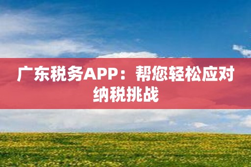 广东税务APP：帮您轻松应对纳税挑战