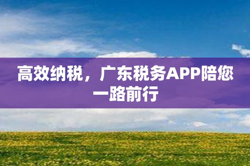 高效纳税，广东税务APP陪您一路前行