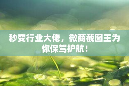 秒变行业大佬，微商截图王为你保驾护航！