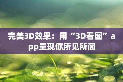 完美3D效果：用“3D看图”app呈现你所见所闻