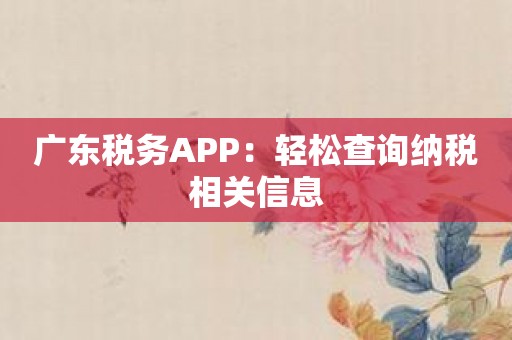 广东税务APP：轻松查询纳税相关信息