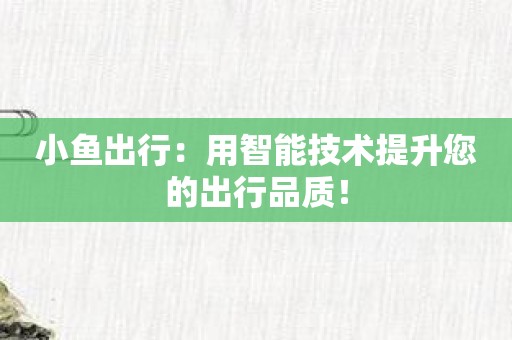 小鱼出行：用智能技术提升您的出行品质！