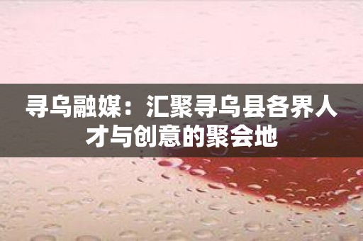 寻乌融媒：汇聚寻乌县各界人才与创意的聚会地