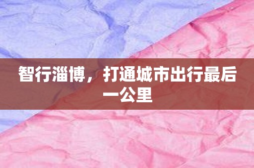 智行淄博，打通城市出行最后一公里