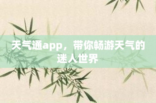 天气通app，带你畅游天气的迷人世界