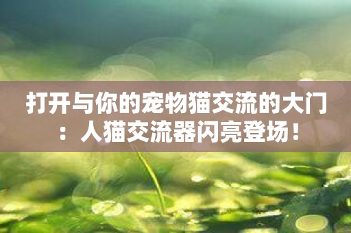 打开与你的宠物猫交流的大门：人猫交流器闪亮登场！